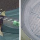 케이티 바이오시스 이미지