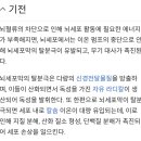 수면중 꼬공격 줄기세포가 암세포화 Usa 일본 경상도 부산 특징이 있음 부피들임 ㅋ 꼬들이 부피들 으식탑재들보소 ㅋ 이미지