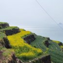 남해-181 이미지