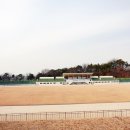 내수공설운동장 이미지