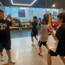 Bee Boxing Gym 이미지