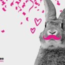 브로콜리약국 이미지