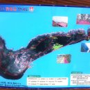 화도(꽃섬) 이미지