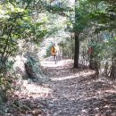 남해-252 이미지