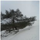 종로-종로-종로-종-310 | 북한산 백운대 설경(12.12.22)산림청/인기백대명산 제3위