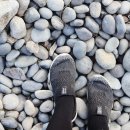 항촌소공원 이미지