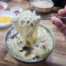 태백칼국수