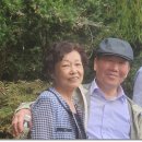 무심교옆 이미지