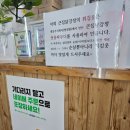 호평동 닭강정 맛집 큰집닭강정 솔직후기