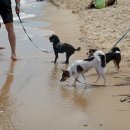 멍클래스 이미지