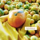 능금농장2 이미지