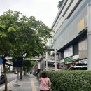 우리골프학교 | [태국/방콕] 담넌사두억 수상시장 &amp; 위험한 기찻길 시장 반일투어