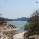 메밀꽃피면 이미지