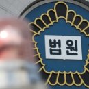 “반려견 입양 못 보내” 남편 거부에 11층서 푸들 던진 아내 이미지