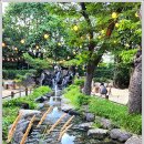 태능갈비 이미지