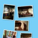 꾸스꾸스 이미지