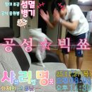 아랫두대경로당 | PK21005K S23 연주전투 '명품' 회고록