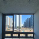 비타민프라자 이미지