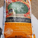 성공산업사 | 거목산업사 최고급 상토 50L 분갈이흙 원예배양토 사용 후기