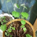 진산농장2 이미지