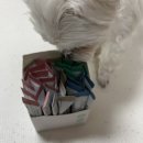 약수본한의원 이미지