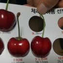굿팜 이미지