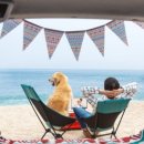 댕댕이,봄 이미지