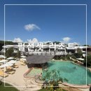 블루펄리조트 | 발리 길리 가성비 리조트 펄선셋 숙박 후기 객실과 수영장까지