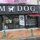 아임독 애견샵 이미지