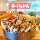 유씨네