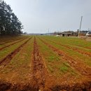 현대펜션 이미지