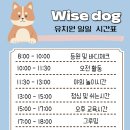 와이즈독 아카데미 이미지