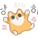 박대감화로구이단계점 이미지