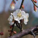 토요일오후 이미지