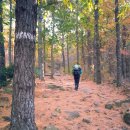 남도상사 이미지