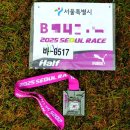 동마 | 서울레이스 두번째 하프 대회 동마크루 자원봉사로 무료 참가 후기