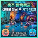 백옥농장 | [충주 여행] 여름엔 시원하고 겨울엔 따뜻한 이색 데이트 코스, 충주 활옥동굴 완벽 총정리...