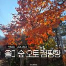 포천제일오토카센타 | 서울근교 감성캠핑은 여기! 포천 울미숲 오토캠핑장 벚나무존 1.5박 캠핑 후기