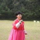 대중가수공연 Daum카페