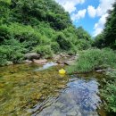 민들레 펜션 이미지