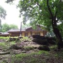 양계정사 이미지