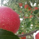 혜성부동산공인중개사사무소 이미지