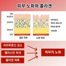 주식회사위너스 이미지