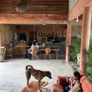 퍼피루스 | [Uluwatu] 발리여행, 울루와뚜 신상숙소 룰루스 빌라(Lulu&#39;s Villa) 수영장/조식/요가 후기