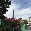 우정밥상 | 전주 정갈한 한정식 녹두꽃 3인상 내돈내산 후기 ㅣ 우정여행 전주 밥상 ㅣ 주차