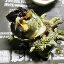 오늘한잔어때 이미지