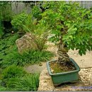 괴산(양평) 이미지