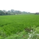 전대1리마을회관 이미지