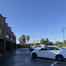 성산식당&국수면전문점 | 제주 아쿠아리움 맛집 성산갈치 맛집 대왕 갈치구이 솔직 후기