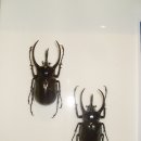 나비공원1(자연교육센터) 이미지